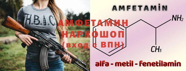 индика Алексин