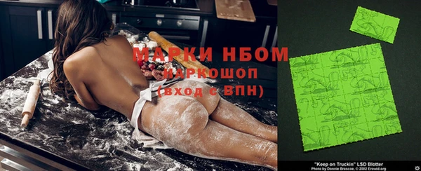 индика Алексин