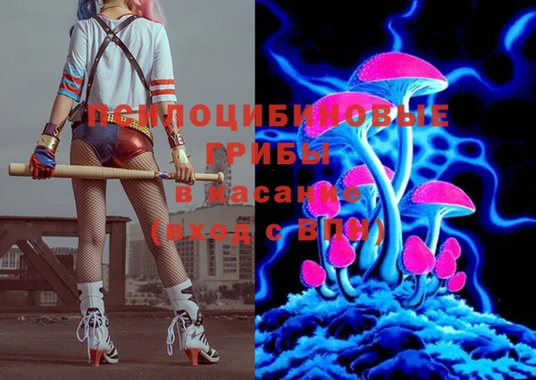 индика Алексин