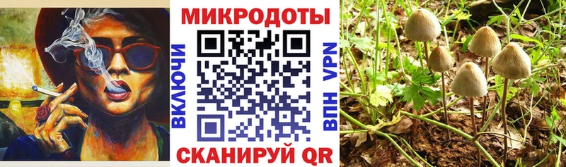где продают наркотики Туринск Галлюциногенные грибы мицелий
