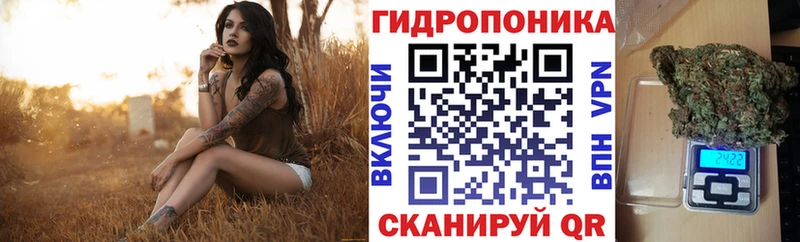 hydra ONION  Туринск  Бошки Шишки AK-47 